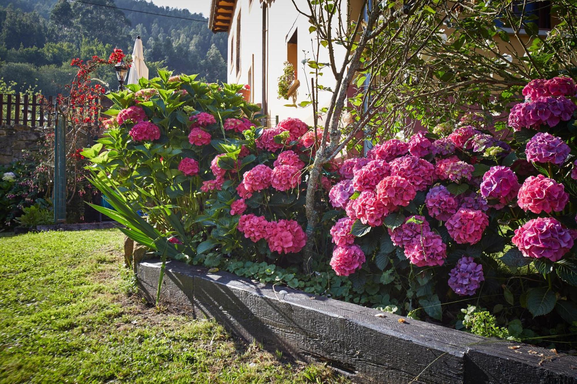 Casa Rural Casa Capion Villaviciosa  Zewnętrze zdjęcie